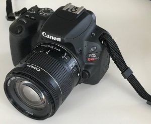 Canon EOS Digital Rebel SL2 photo camera 300x247 - Canon EOS Digital Rebel SL2 photo camera