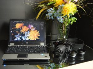 Photo Editing flowers 300x223 - Photo Editing - flowers