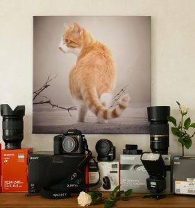 photography equipment photo 281x300 - photography-equipment-photo